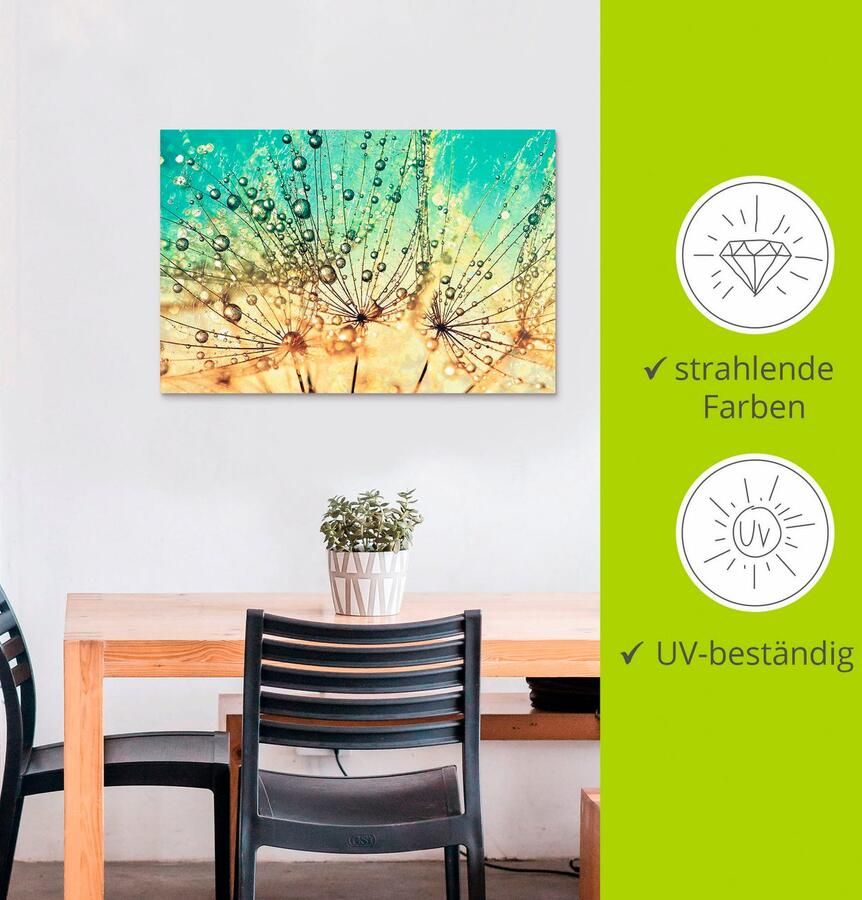 Artland Artprint Pluizenbol druppelmagie als artprint van aluminium artprint voor buiten artprint op linnen poster muursticker - Foto 3