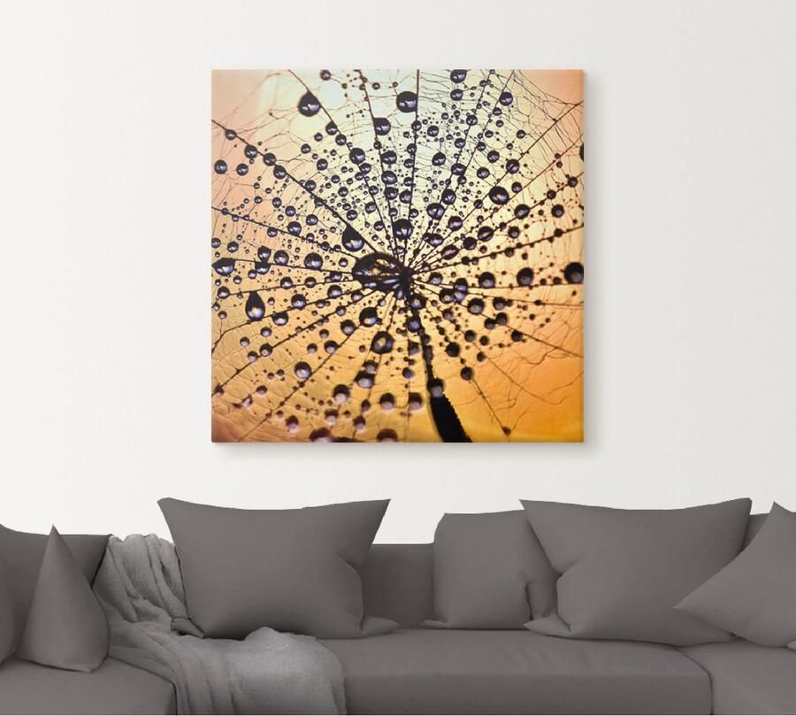 Artland Artprint Pluizenbol druppelvanger als artprint op linnen muursticker in verschillende maten - Foto 4