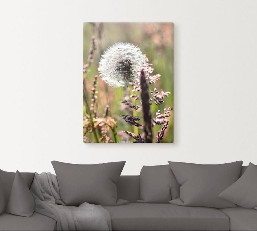 Artland Artprint op linnen Pluizenbol III - Foto 5