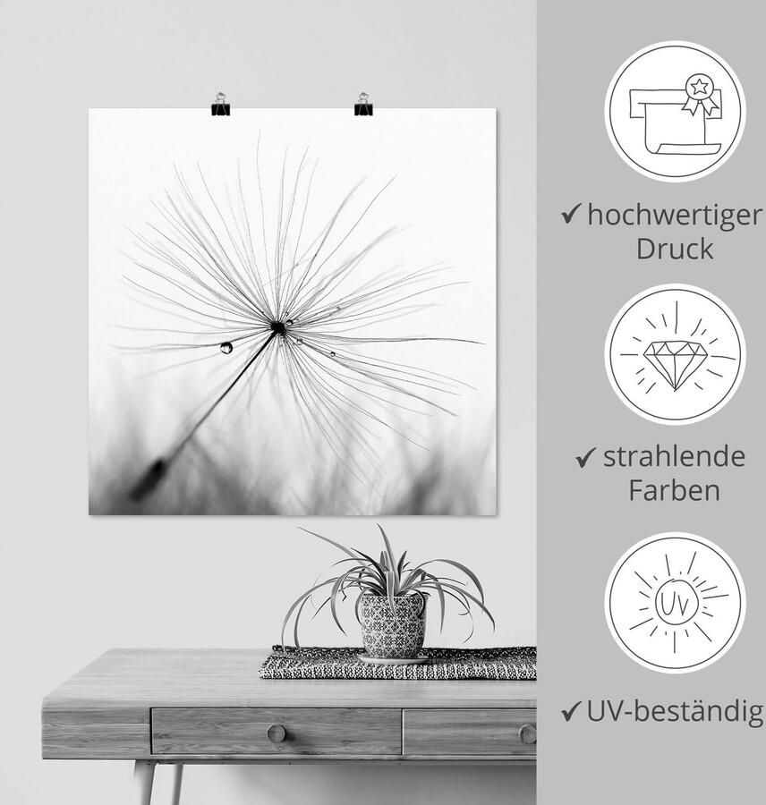 Artland Artprint Pluizenbol pluimen als artprint van aluminium artprint voor buiten artprint op linnen poster muursticker - Foto 4