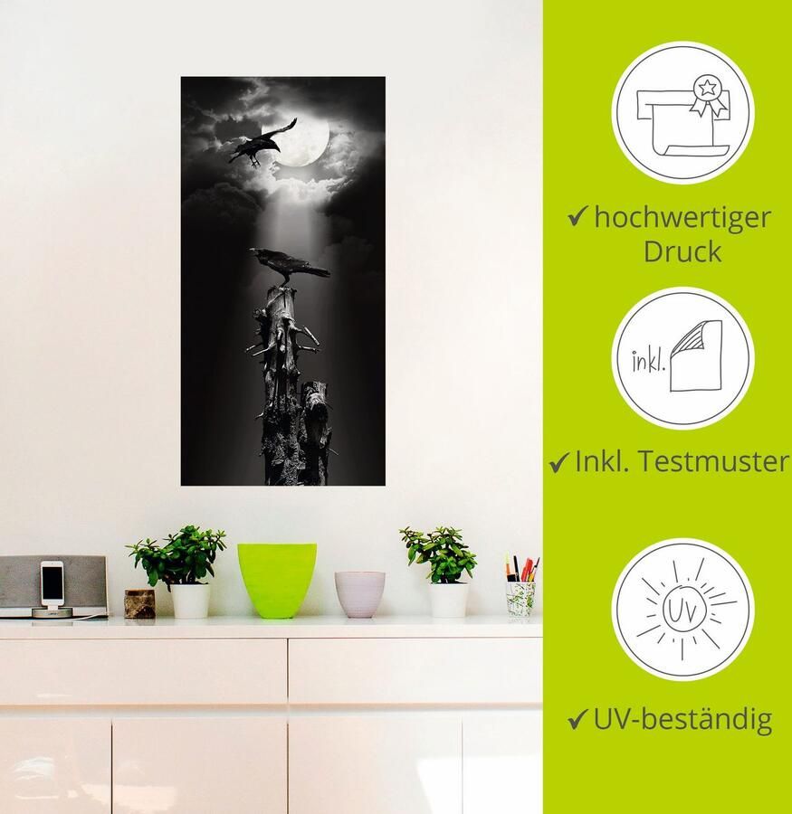 Artland Artprint Raaf in de nacht als artprint op linnen poster muursticker in verschillende maten - Foto 2