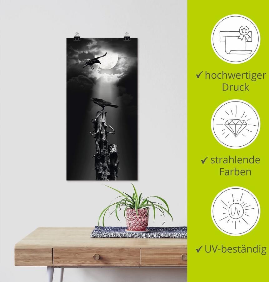 Artland Artprint Raaf in de nacht als artprint op linnen poster muursticker in verschillende maten - Foto 3