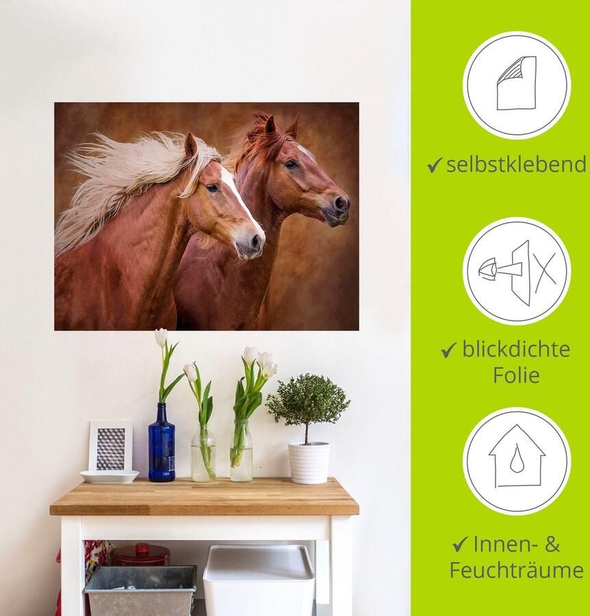 Artland Artprint Raszuivere paarden I als artprint op linnen poster muursticker in verschillende maten - Foto 3