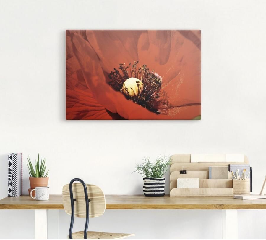 Artland Artprint Rode klaproos als artprint van aluminium artprint op linnen muursticker of poster in verschillende maten - Foto 3