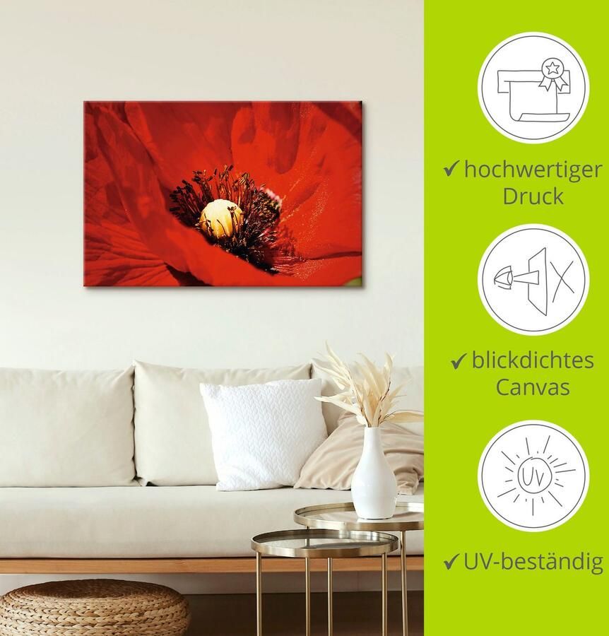 Artland Artprint Rode klaproos als artprint van aluminium artprint op linnen muursticker of poster in verschillende maten - Foto 2