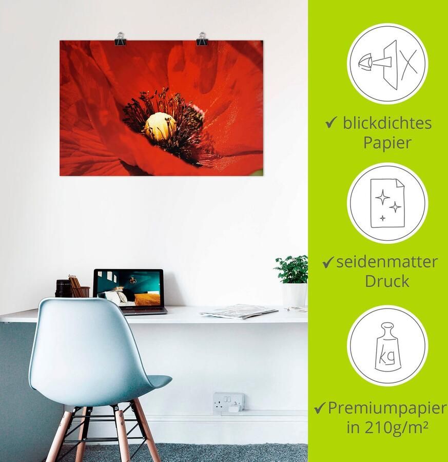 Artland Artprint Rode klaproos als artprint van aluminium artprint op linnen muursticker of poster in verschillende maten - Foto 2