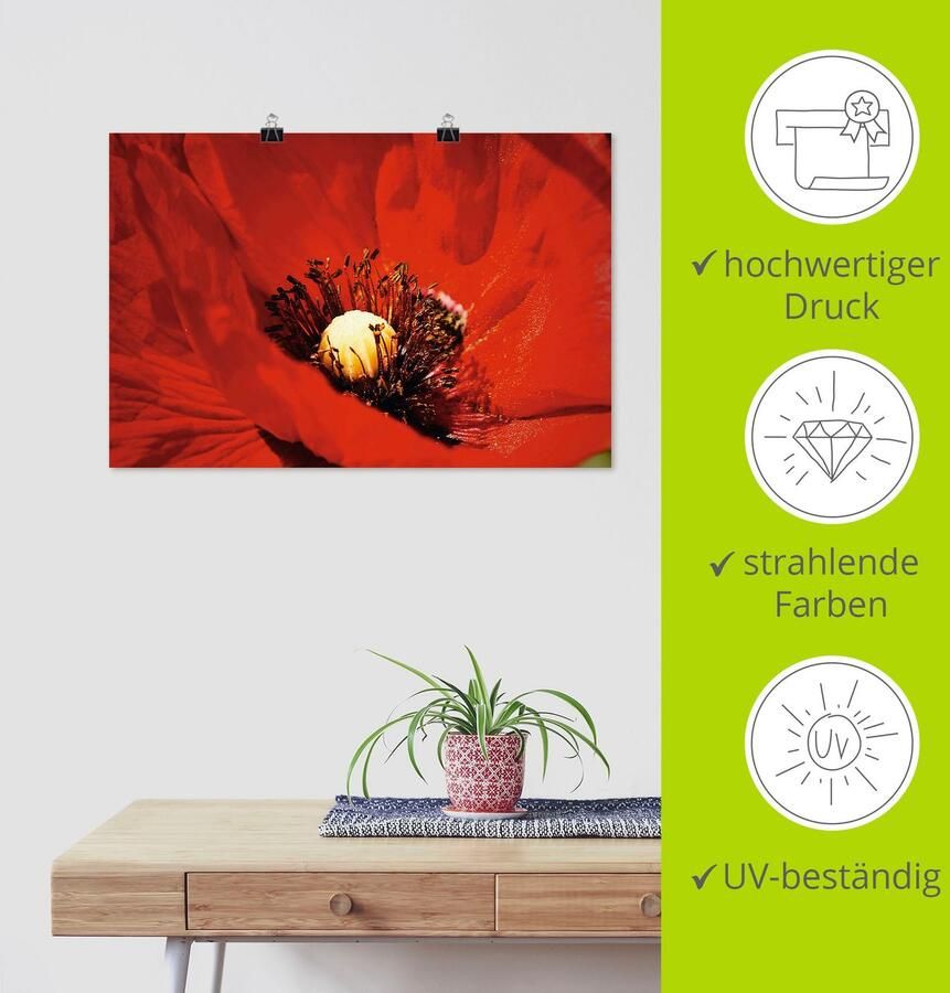 Artland Artprint Rode klaproos als artprint van aluminium artprint op linnen muursticker of poster in verschillende maten - Foto 3