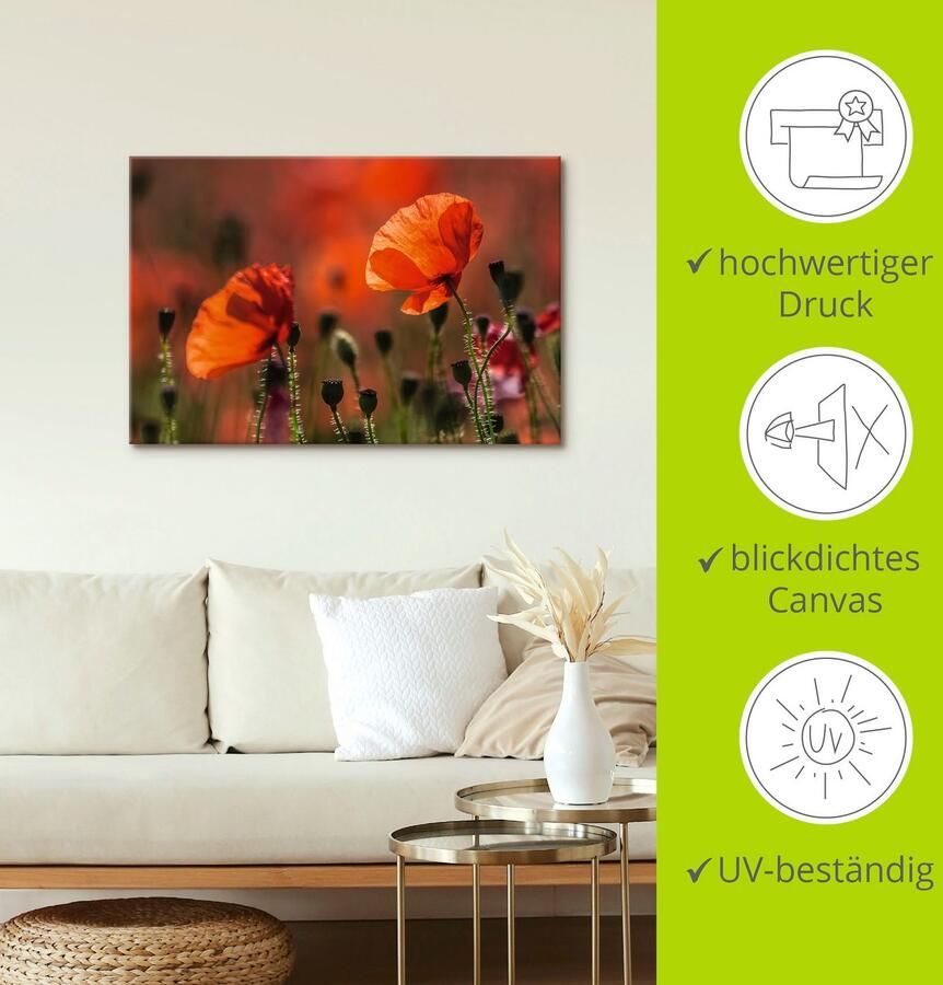 Artland Artprint Rode klaprozen in de Provence als artprint op linnen poster in verschillende formaten maten - Foto 3