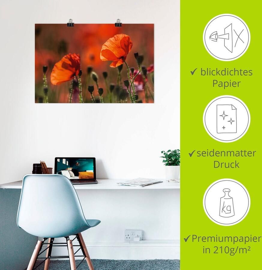 Artland Artprint Rode klaprozen in de Provence als artprint op linnen poster in verschillende formaten maten - Foto 2