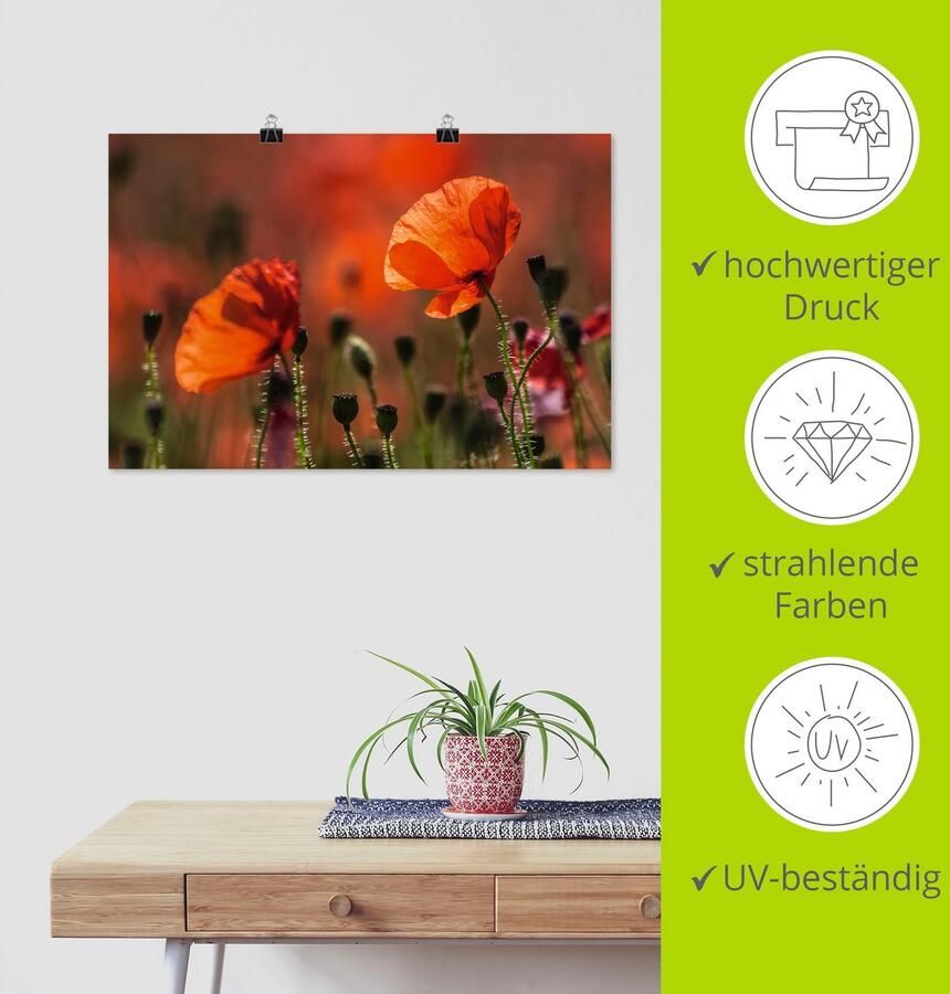 Artland Artprint Rode klaprozen in de Provence als artprint op linnen poster in verschillende formaten maten - Foto 3