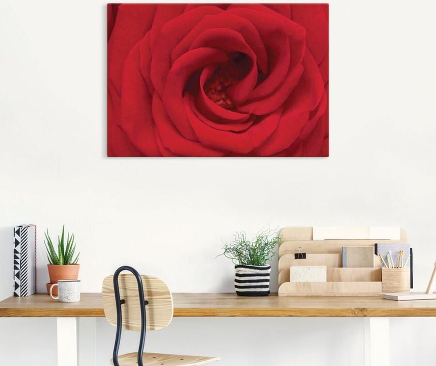 Artland Artprint op linnen Rode roos - Foto 5
