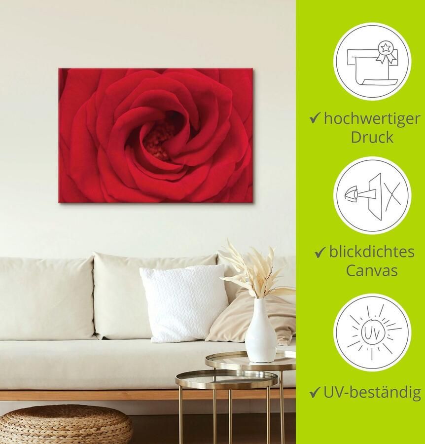 Artland Artprint Rode roos als artprint van aluminium artprint voor buiten artprint op linnen in verschillende maten - Foto 4