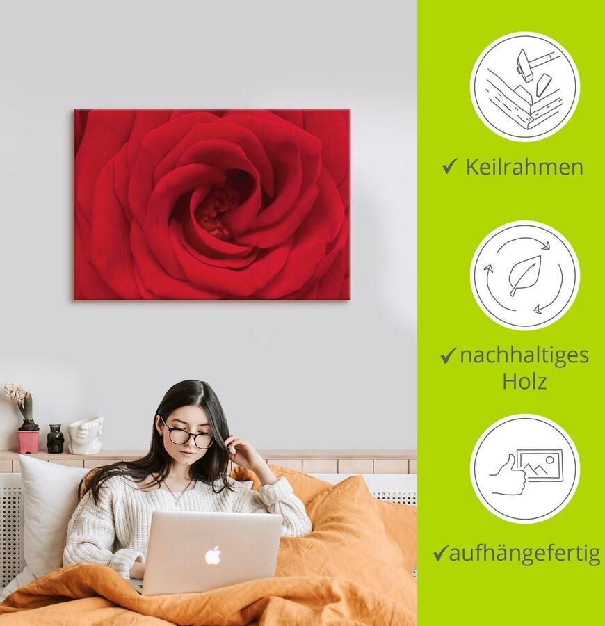 Artland Artprint Rode roos als artprint van aluminium artprint voor buiten artprint op linnen in verschillende maten - Foto 3