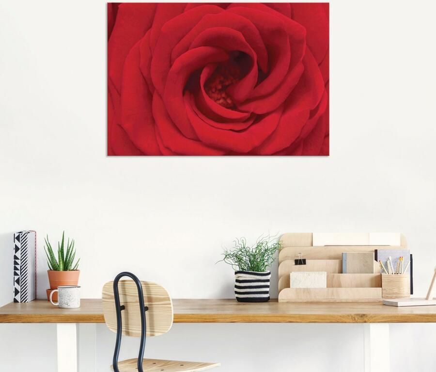 Artland Artprint Rode roos als artprint van aluminium artprint voor buiten artprint op linnen in verschillende maten - Foto 5