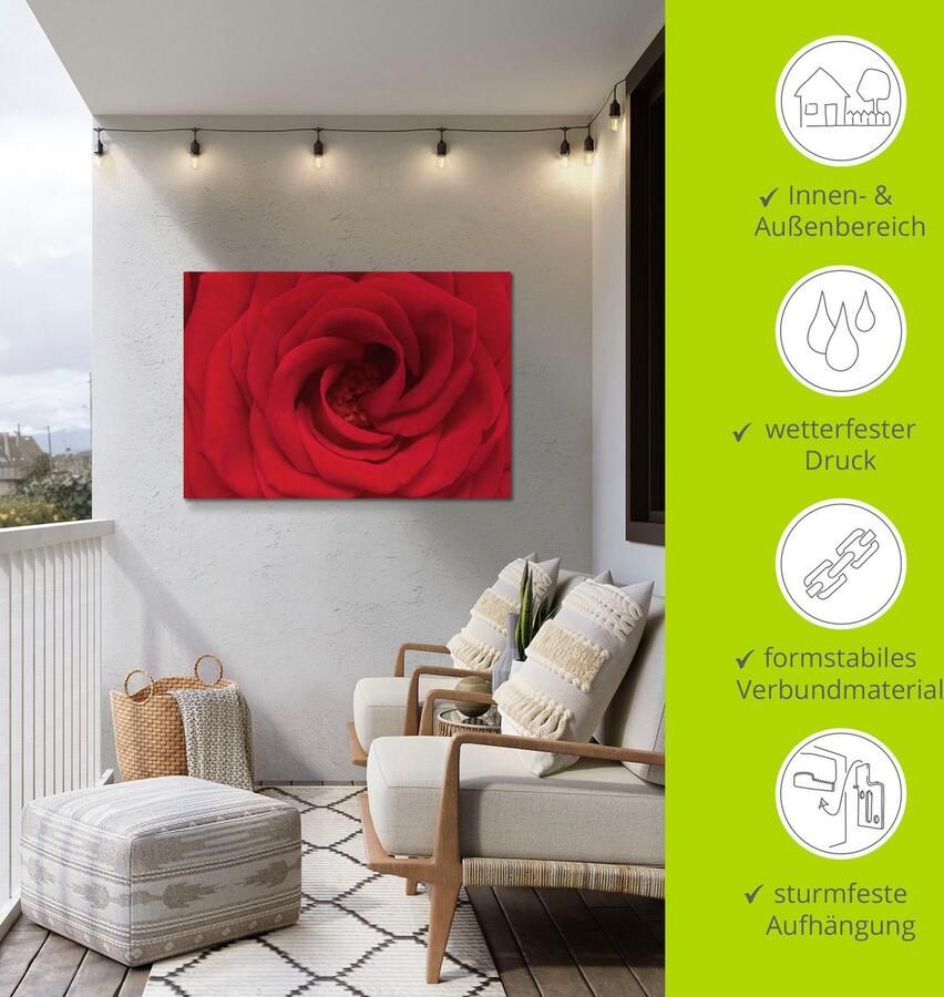 Artland Artprint Rode roos als artprint van aluminium artprint voor buiten artprint op linnen in verschillende maten - Foto 4