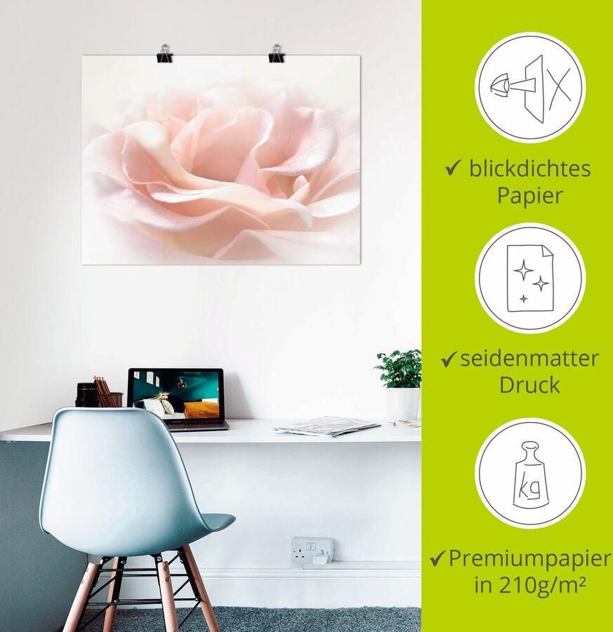 Artland Artprint Roos I als artprint van aluminium artprint voor buiten artprint op linnen poster muursticker - Foto 2
