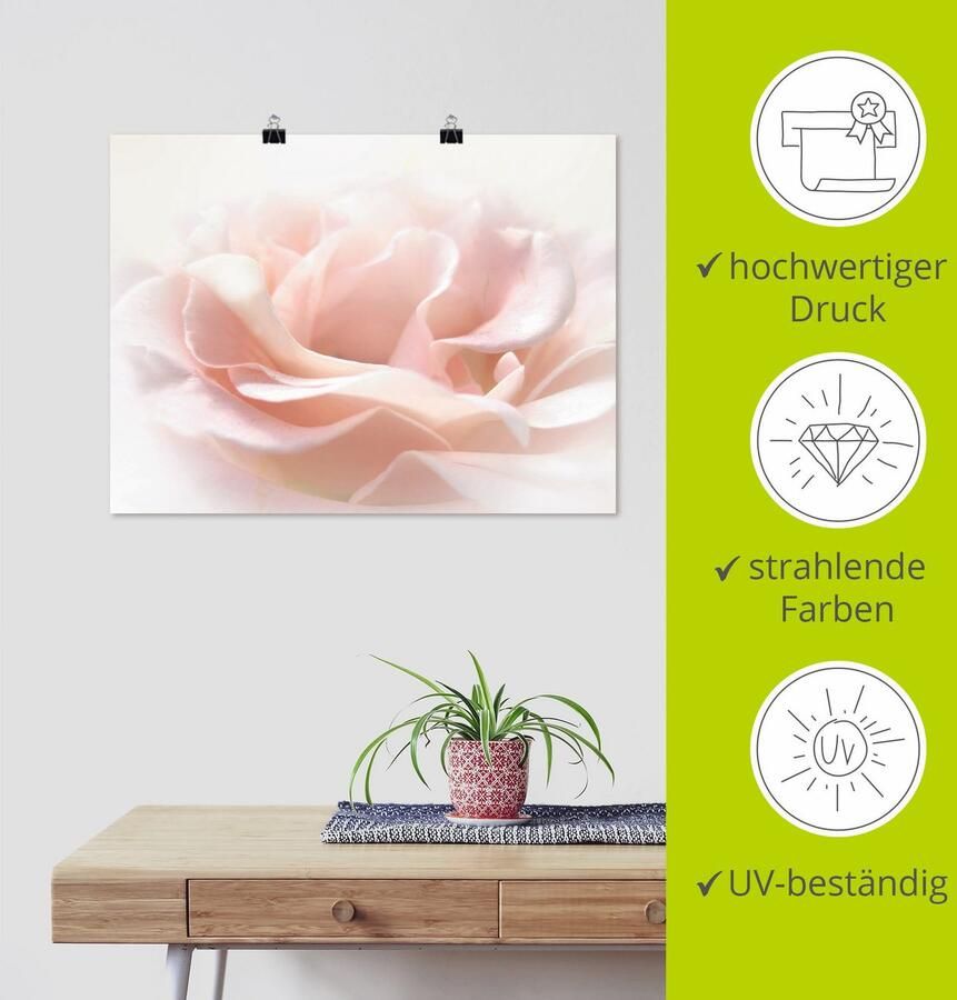 Artland Artprint Roos I als artprint van aluminium artprint voor buiten artprint op linnen poster muursticker - Foto 3