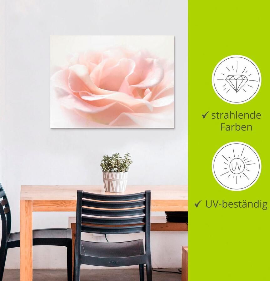 Artland Artprint Roos I als artprint van aluminium artprint voor buiten artprint op linnen poster muursticker - Foto 3