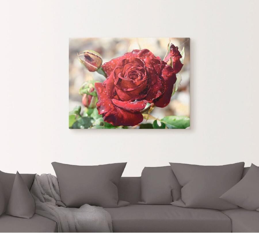 Artland Artprint Roos met druppels als artprint op linnen poster muursticker in verschillende maten