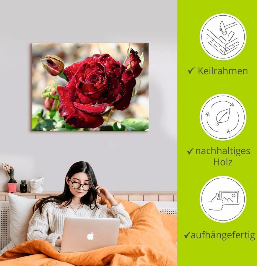 Artland Artprint Roos met druppels als artprint op linnen poster muursticker in verschillende maten - Foto 2