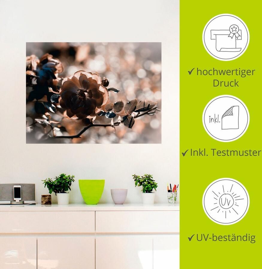 Artland Artprint Rosé als artprint op linnen muursticker in verschillende maten - Foto 2