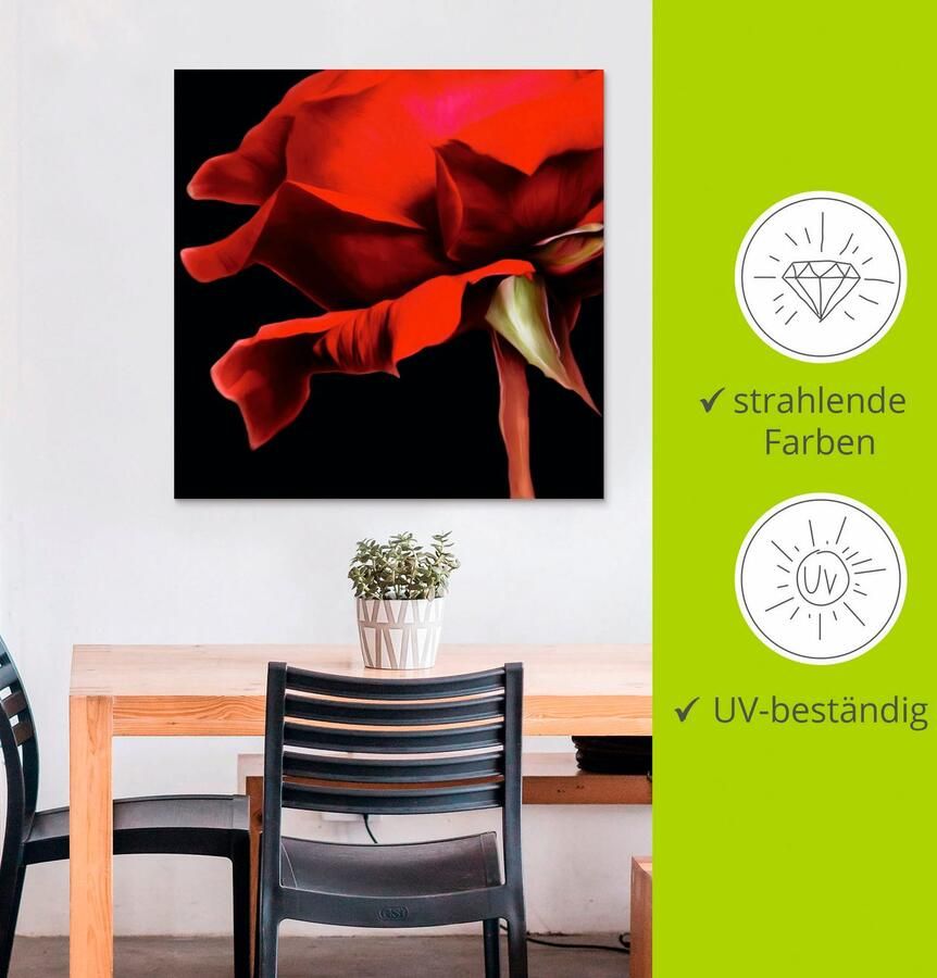 Artland Artprint Rosé als artprint van aluminium artprint voor buiten muursticker in diverse maten - Foto 2