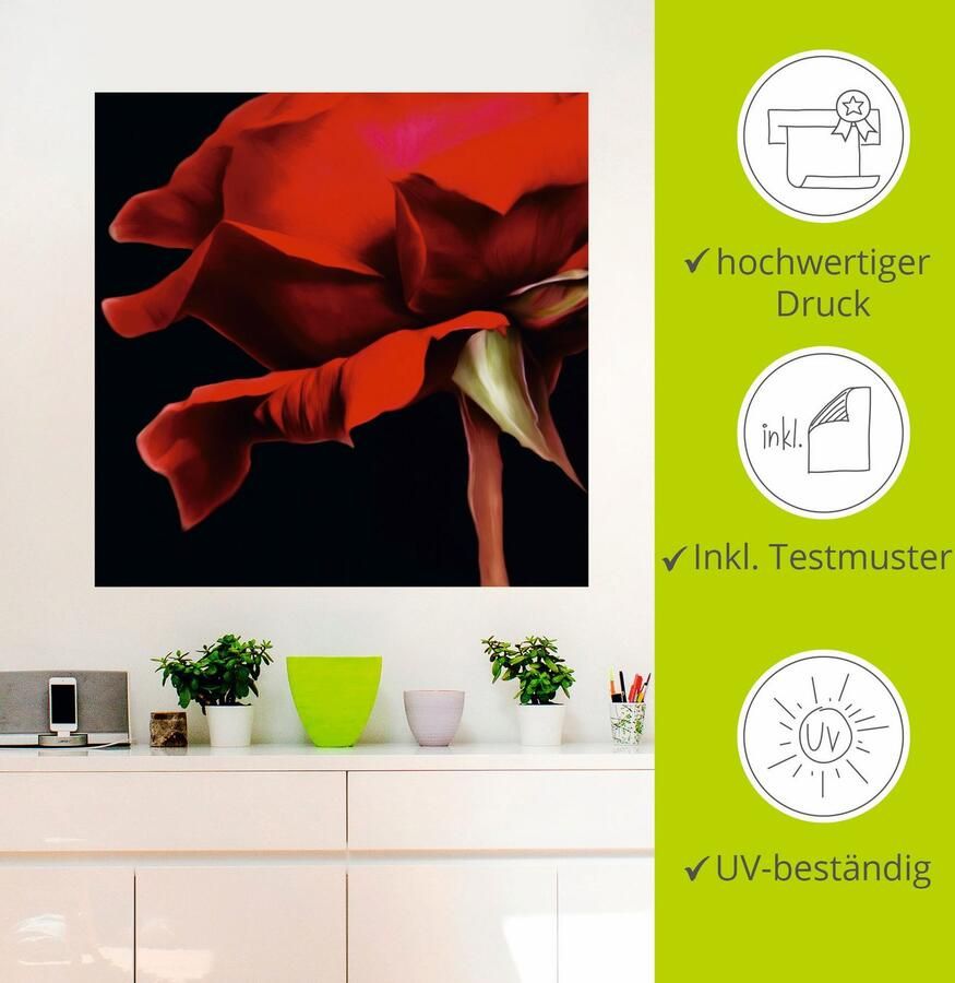 Artland Artprint Rosé als artprint van aluminium artprint voor buiten muursticker in diverse maten - Foto 2