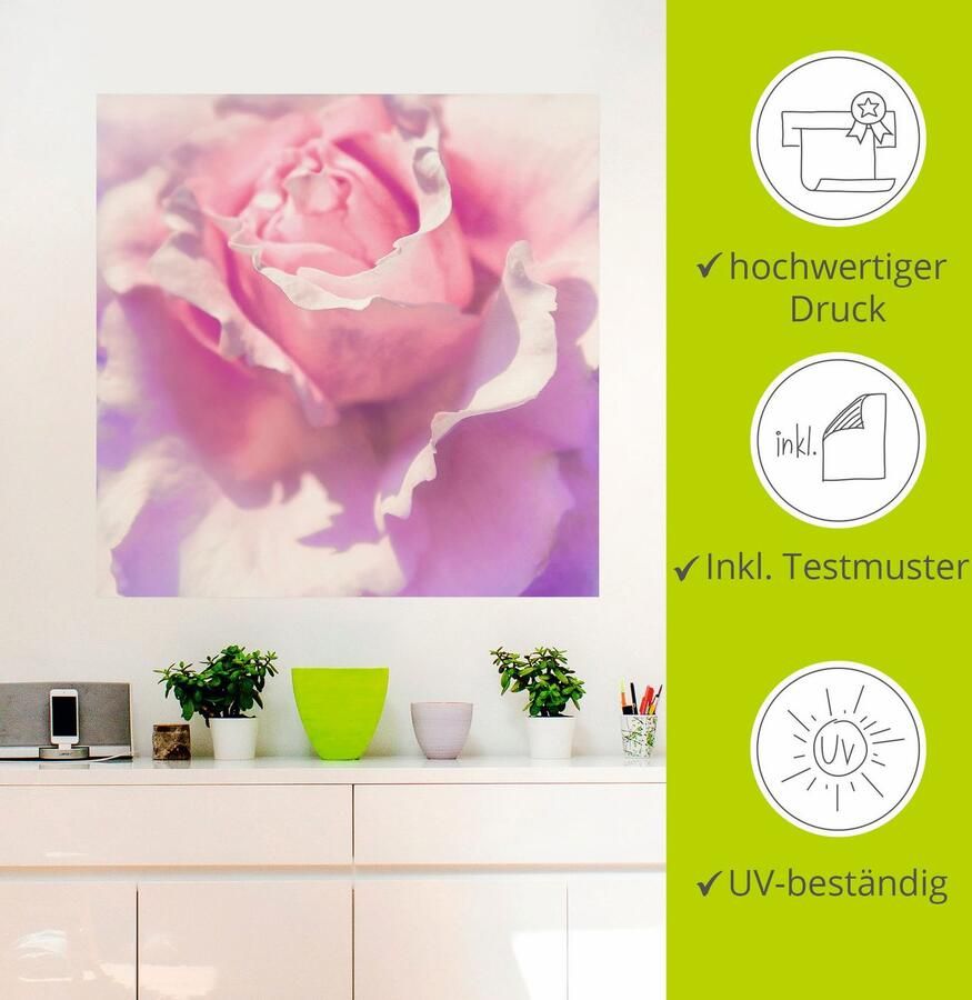 Artland Artprint Roze als artprint op linnen poster muursticker in verschillende maten - Foto 2