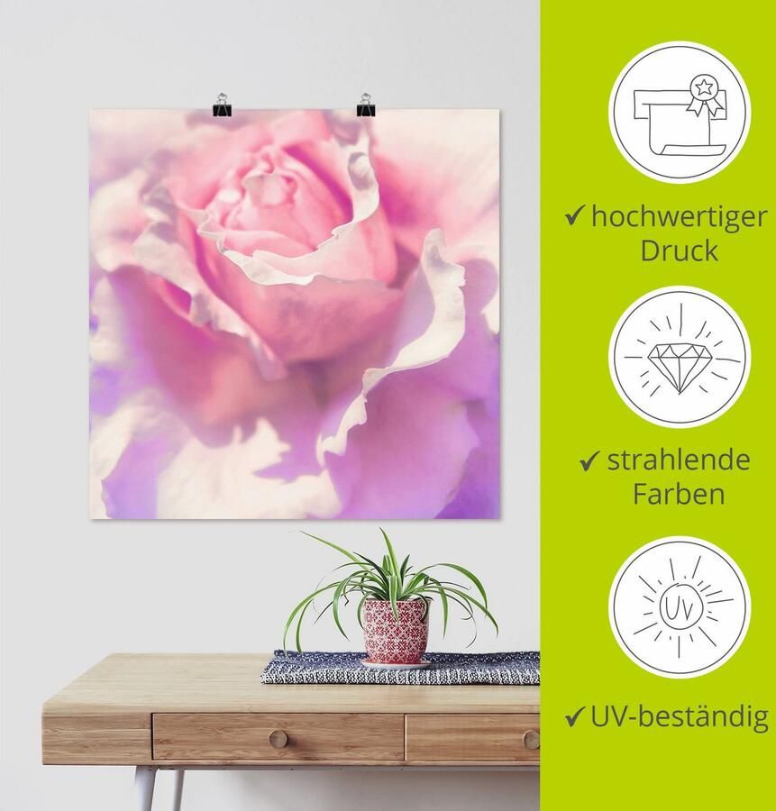 Artland Artprint Roze als artprint op linnen poster muursticker in verschillende maten - Foto 3