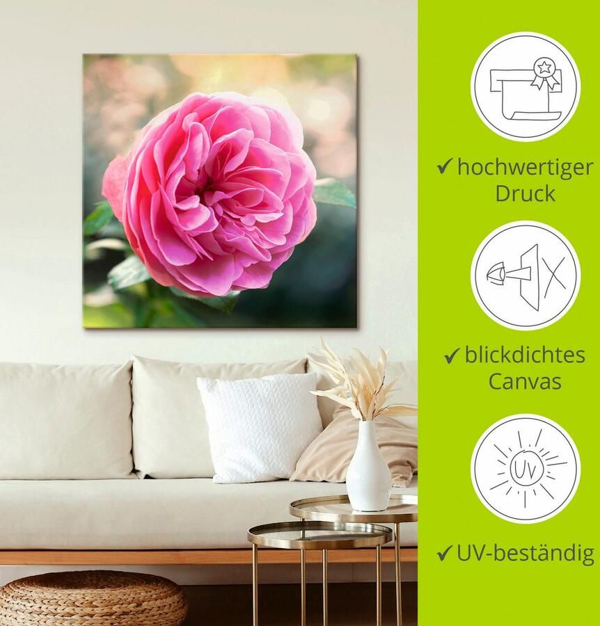 Artland Artprint Roze roos in tegenlicht als artprint op linnen in verschillende maten - Foto 2