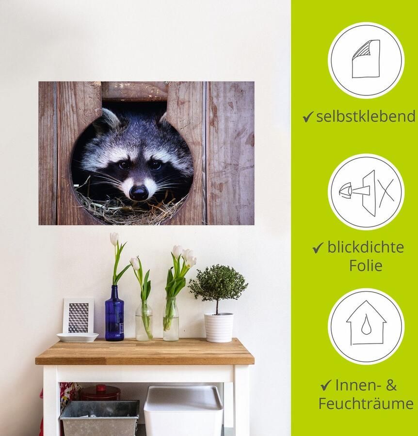 Artland Artprint Schattige kleine wasbeer als artprint op linnen muursticker in verschillende maten - Foto 3