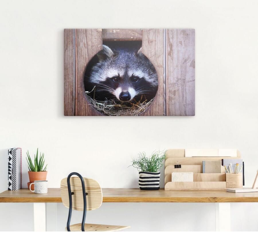 Artland Artprint Schattige kleine wasbeer als artprint op linnen muursticker in verschillende maten - Foto 3