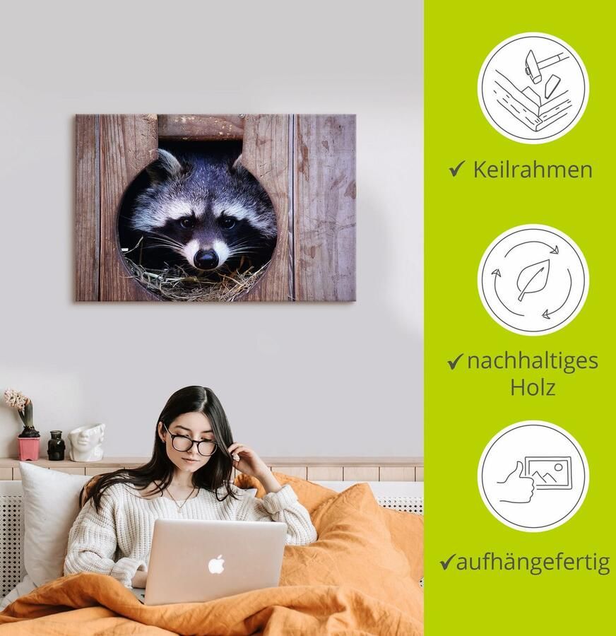 Artland Artprint Schattige kleine wasbeer als artprint op linnen muursticker in verschillende maten