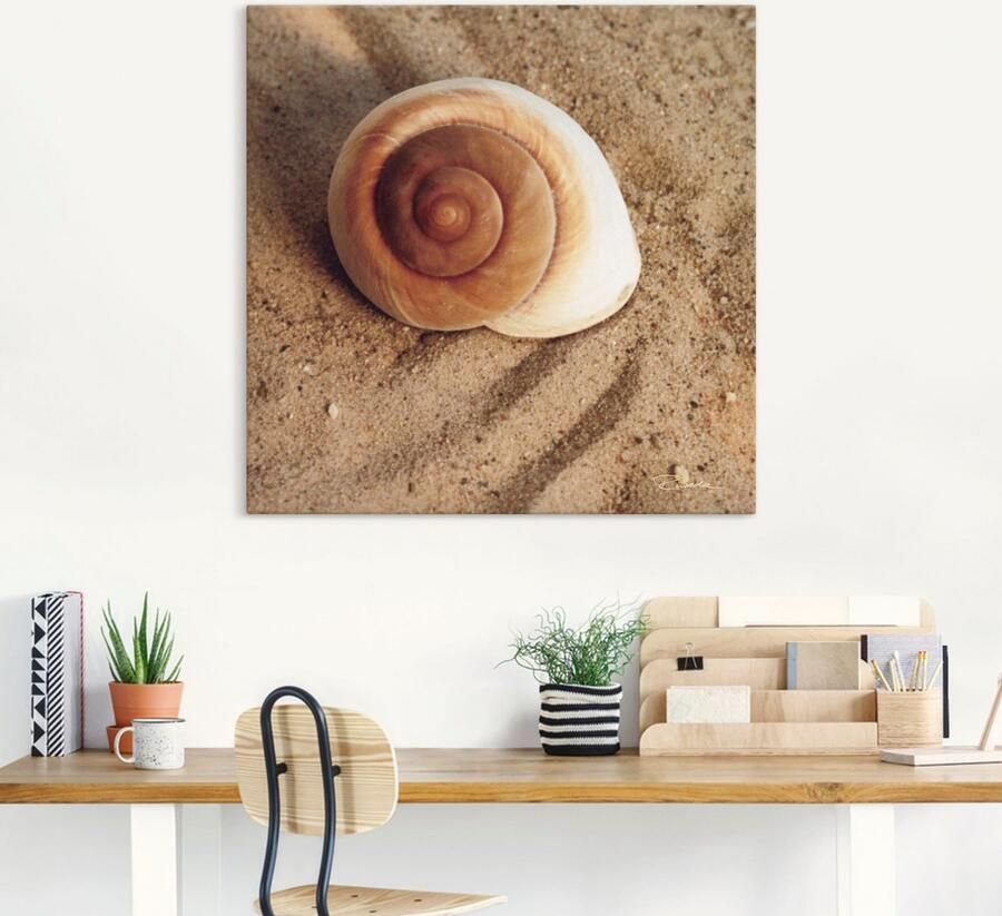 Artland Artprint Schelp als artprint van aluminium artprint voor buiten artprint op linnen poster muursticker - Foto 5