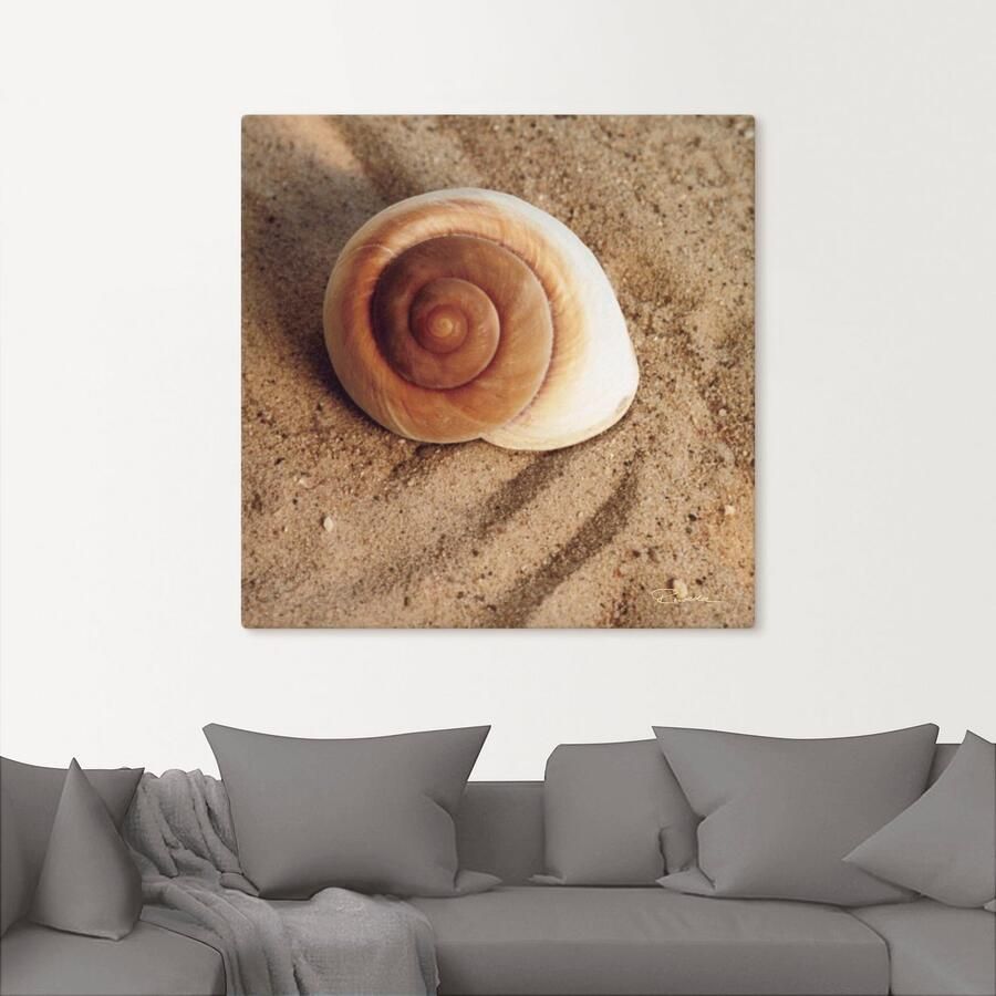 Artland Artprint Schelp als artprint van aluminium artprint voor buiten artprint op linnen poster muursticker - Foto 2