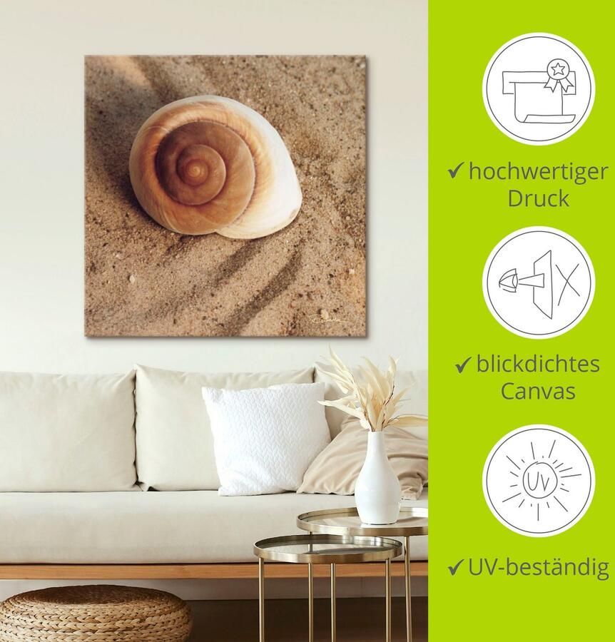 Artland Artprint Schelp als artprint van aluminium artprint voor buiten artprint op linnen poster muursticker - Foto 4