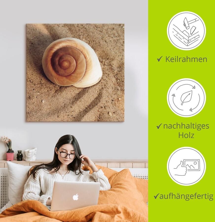 Artland Artprint Schelp als artprint van aluminium artprint voor buiten artprint op linnen poster muursticker - Foto 3