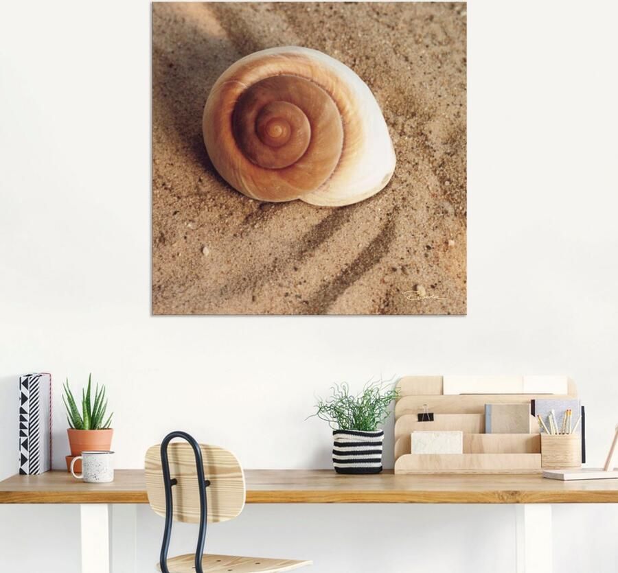 Artland Artprint Schelp als artprint van aluminium artprint voor buiten artprint op linnen poster muursticker - Foto 6