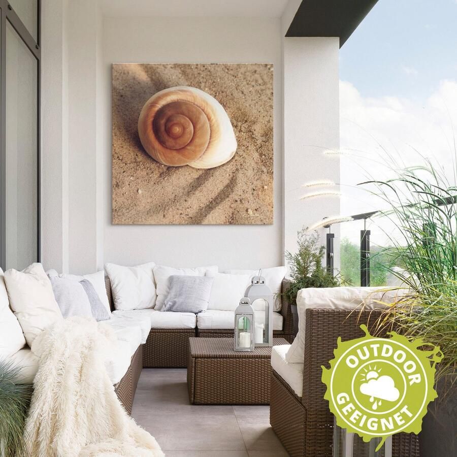 Artland Artprint Schelp als artprint van aluminium artprint voor buiten artprint op linnen poster muursticker - Foto 3