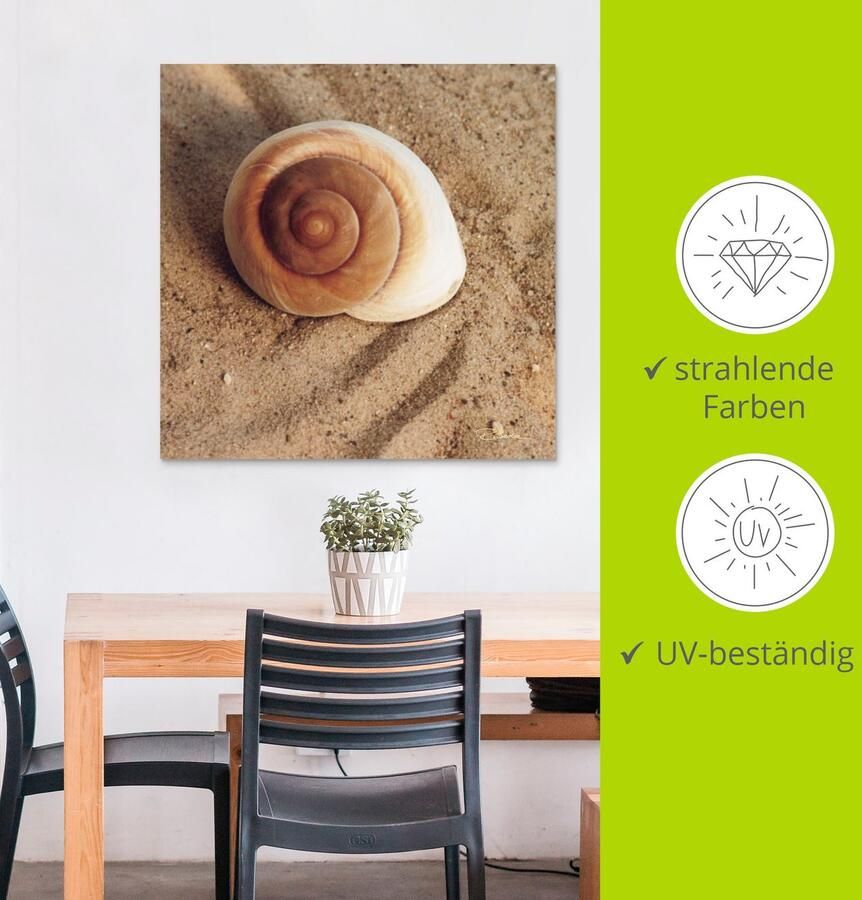 Artland Artprint Schelp als artprint van aluminium artprint voor buiten artprint op linnen poster muursticker - Foto 4