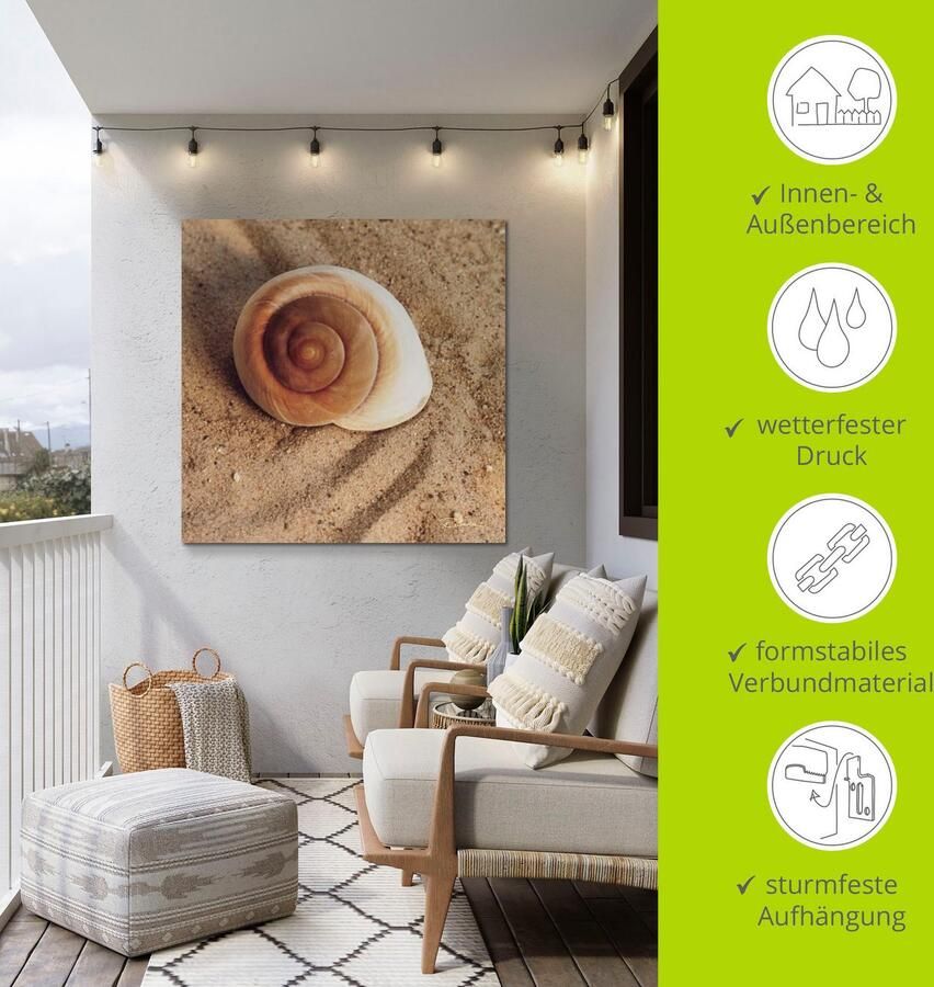Artland Artprint Schelp als artprint van aluminium artprint voor buiten artprint op linnen poster muursticker - Foto 5