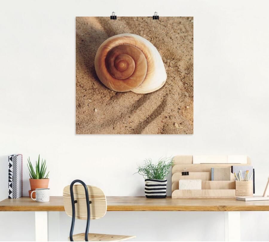 Artland Artprint Schelp als artprint van aluminium artprint voor buiten artprint op linnen poster muursticker - Foto 4