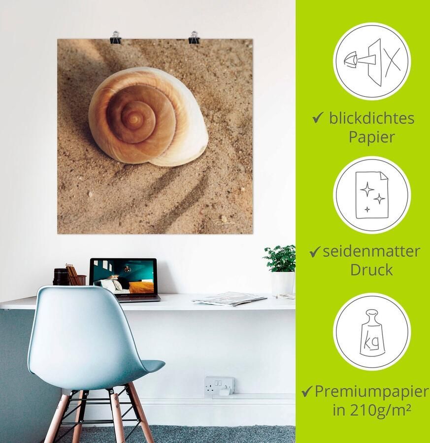 Artland Artprint Schelp als artprint van aluminium artprint voor buiten artprint op linnen poster muursticker - Foto 2