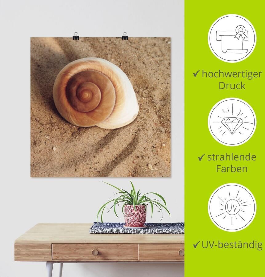 Artland Artprint Schelp als artprint van aluminium artprint voor buiten artprint op linnen poster muursticker - Foto 3