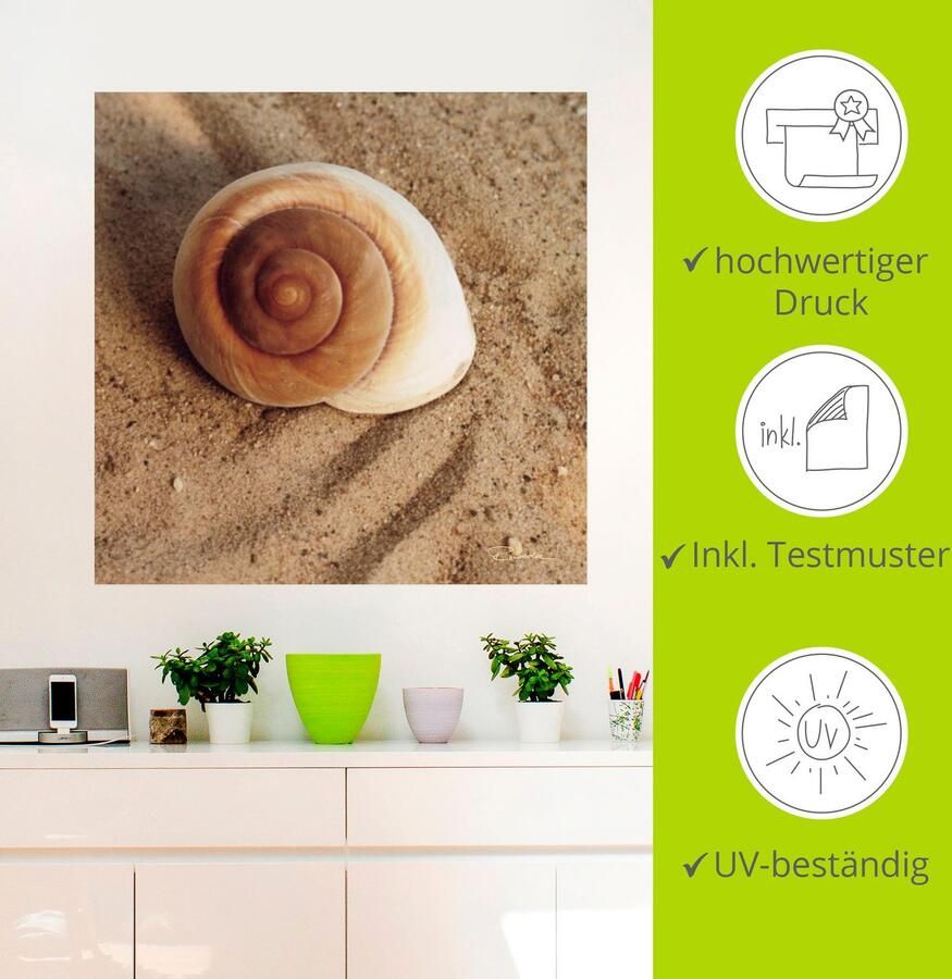Artland Artprint Schelp als artprint van aluminium artprint voor buiten artprint op linnen poster muursticker - Foto 3