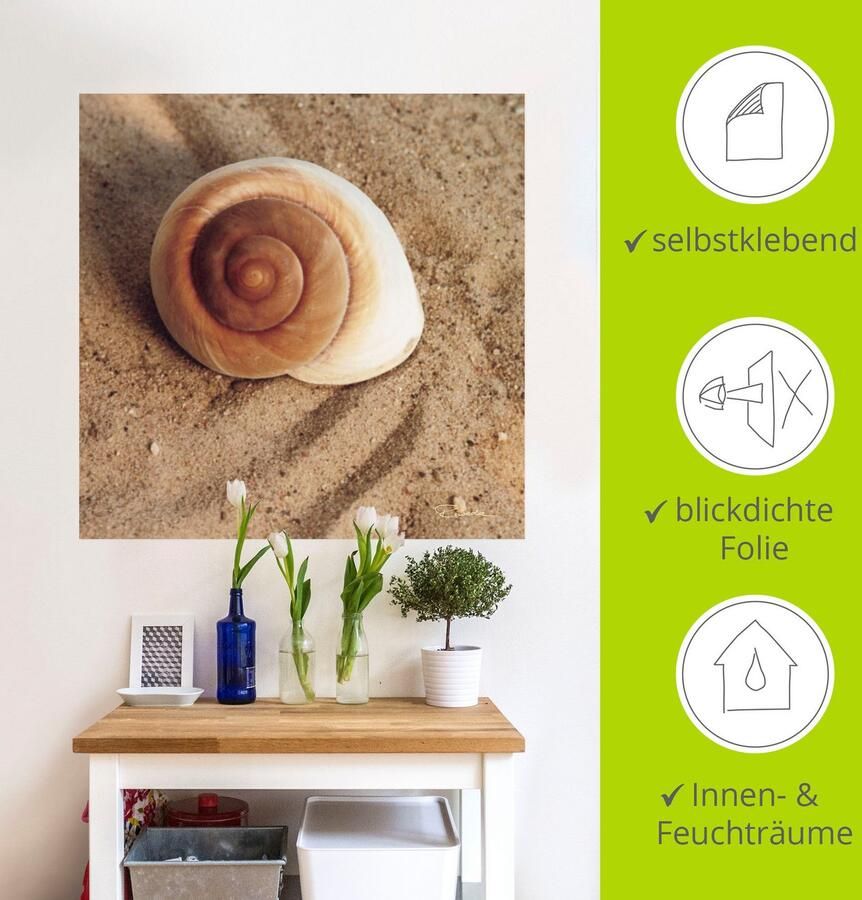 Artland Artprint Schelp als artprint van aluminium artprint voor buiten artprint op linnen poster muursticker - Foto 4