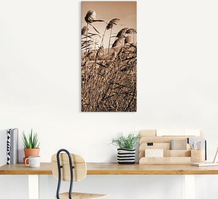 Artland Artprint Sepia grassen II als artprint op linnen in verschillende maten - Foto 5