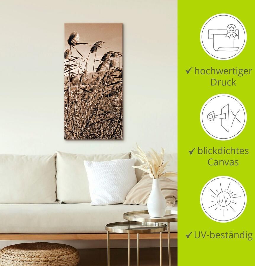 Artland Artprint Sepia grassen II als artprint op linnen in verschillende maten - Foto 4