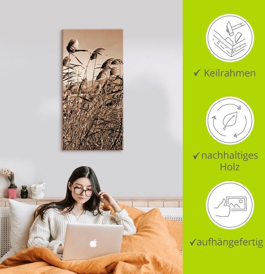 Artland Artprint Sepia grassen II als artprint op linnen in verschillende maten - Foto 3