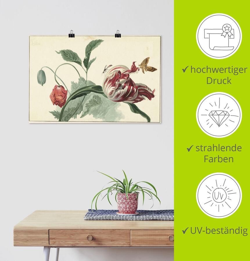 Artland Artprint Tulp en klaproos. als artprint van aluminium artprint voor buiten artprint op linnen poster in verschillende maten. maten - Foto 4